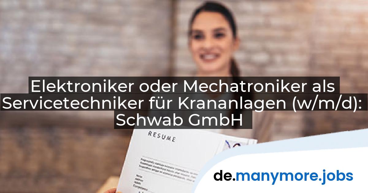 Elektroniker oder Mechatroniker als Servicetechniker für Krananlagen (w/m/d): Schwab GmbH | manymore.jobs