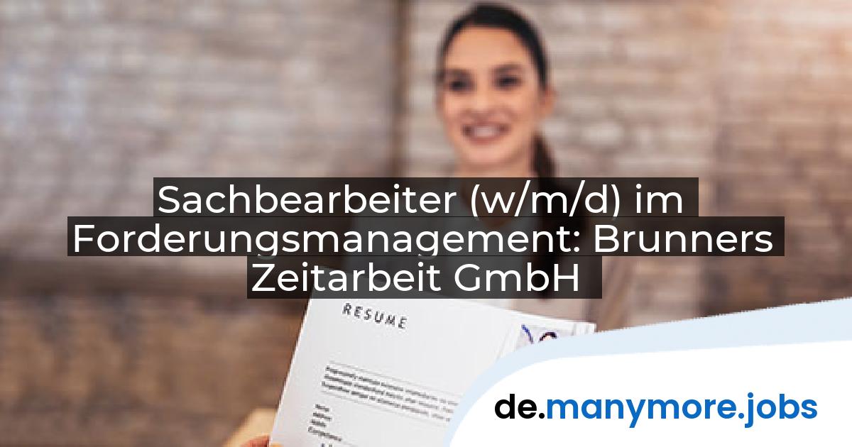 Sachbearbeiter (w/m/d) im Forderungsmanagement: Brunners Zeitarbeit GmbH | manymore.jobs