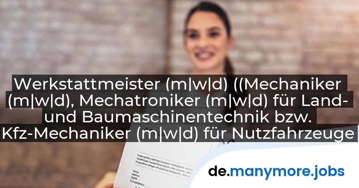 Werkstattmeister (m|w|d) ((Mechaniker (m|w|d), Mechatroniker (m|w|d) für Land- und Baumaschinentechnik bzw. Kfz-Mechaniker (m|w|d) für Nutzfahrzeuge): KEMNA BAU Andreae GmbH & Co. KG Hauptverwaltung | manymore.jobs
