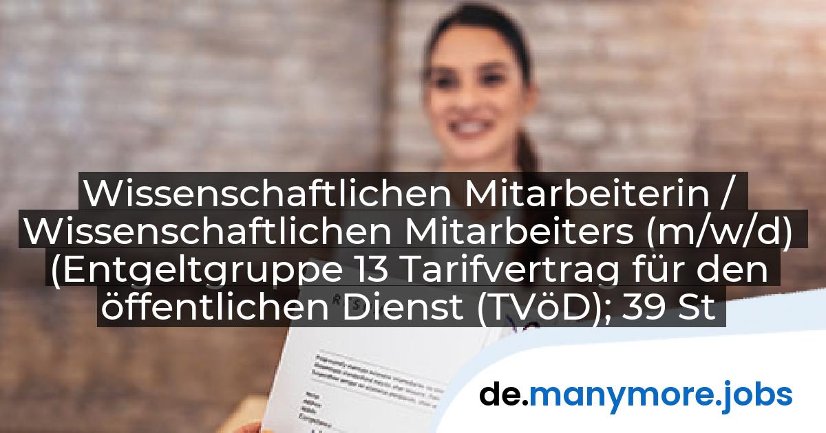 Wissenschaftlichen Mitarbeiterin / Wissenschaftlichen Mitarbeiters (m/w/d) (Entgeltgruppe 13 Tarifvertrag für den öffentlichen Dienst (TVöD); 39 Stunden wöchentlich): Helmut-Schmidt-Universität / Universität der Bundeswehr Hamburg | manymore.jobs