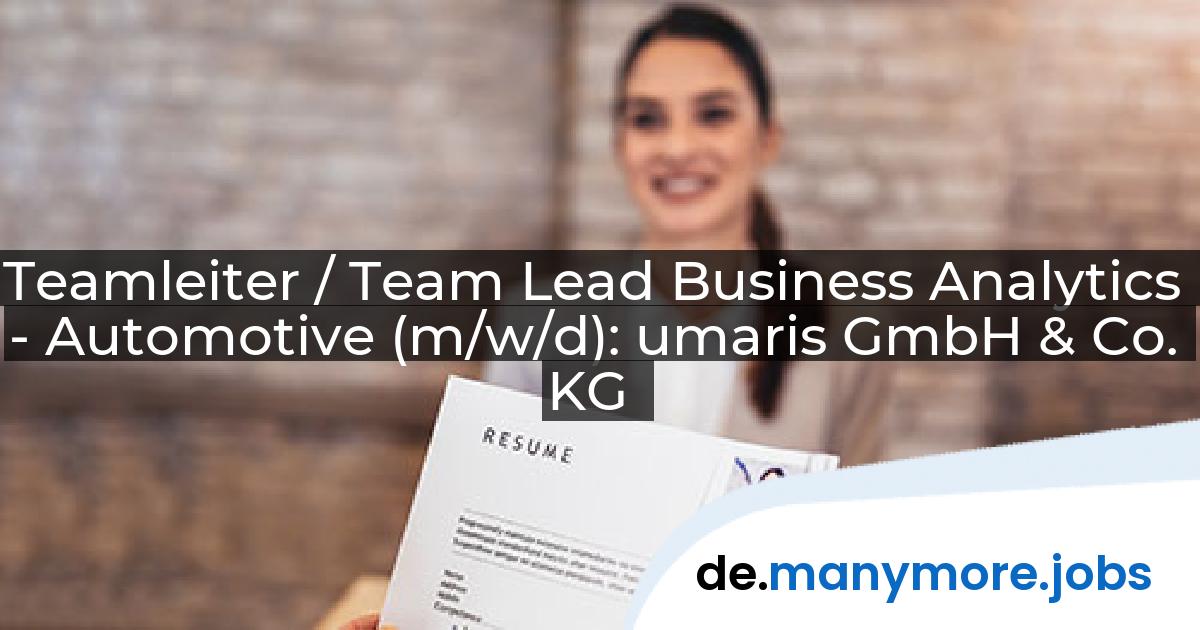 Teamleiter / Team Lead Business Analytics - Automotive (m/w/d): umaris GmbH & Co. KG | manymore.jobs