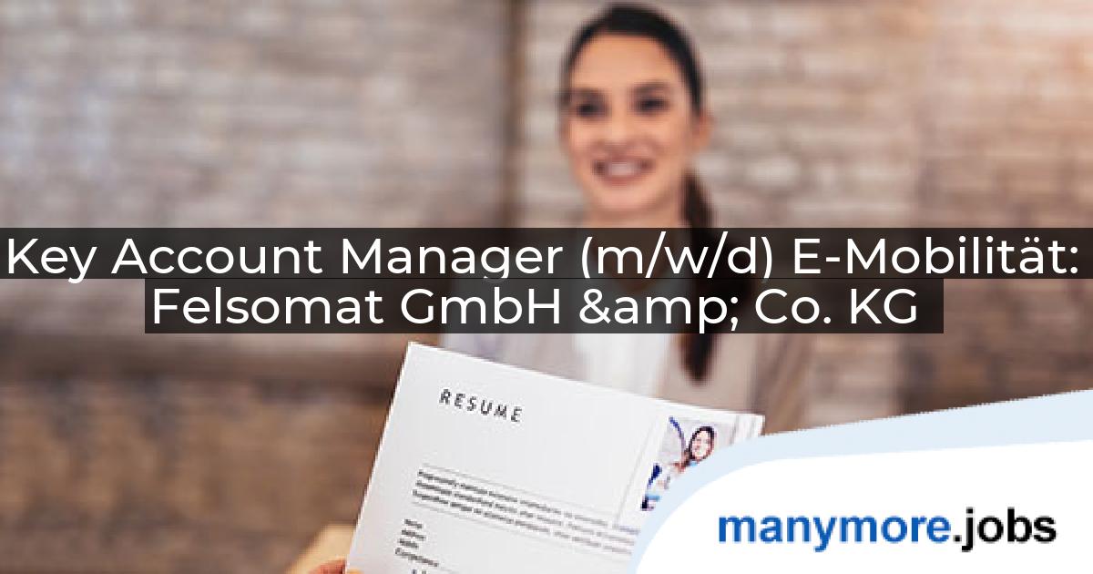 Key Account Manager (m/w/d) E-Mobilität: Felsomat GmbH & Co. KG | manymore.jobs